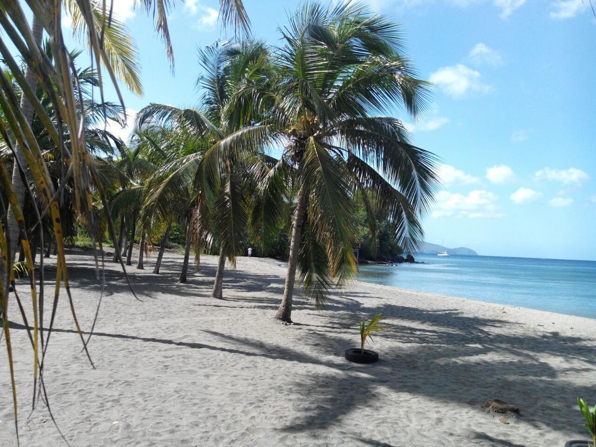 Madiana Plage سكولكر المظهر الخارجي الصورة